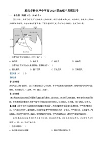 重庆市杨家坪中学2024-2025学年高三上学期期中模拟考试地理试题（Word版附解析）