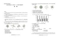 江西省赣州市新高考联盟2024-2025学年高三上学期11月教学质量测评模拟预测地理试题