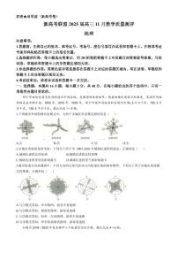 华大新高考联盟2025届高三上学期11月教学质量测评地理试题