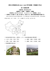 湖北省武汉市常青联合体2024-2025学年高二上学期期中考试地理试卷（Word版附解析）