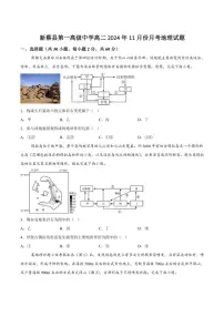 2024～2025学年河南省驻马店市新蔡县第一高级中学高二(上)11月月考地理试卷(含答案)