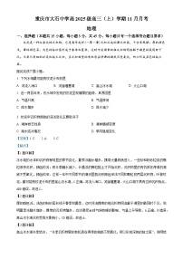 重庆市大石中学2024-2025学年高三上学期11月月考地理试题（Word版附解析）