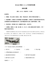 重庆市顶级名校2024-2025学年高三上学期11月阶段性检测地理试题含答案