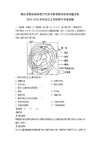 湖北省鄂东南省级示范高中教育教学改革联盟学校2024-2025学年高三(上)期中考试地理试卷(解析版)