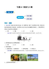 专题05 植被与土壤-备战2025年高中学业水平合格考地理真题分类汇编.zip