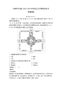 天津市宁河区2023-2024学年高三（上）期末练习地理试卷（解析版）