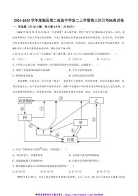 2024～2025学年河南省周口市鹿邑县第二高级中学高二上(三)月考(12月)地理试卷(含答案)