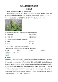 山东省济宁市邹城市第二中学2024-2025学年高二上学期12月月考地理试题（Word版附解析）