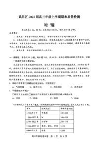 湖北省武汉市武昌区2025届高三上学期期末考试地理试卷（PDF版附解析）