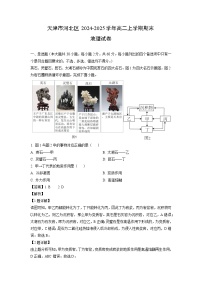 天津市河北区2024-2025学年高二上学期期末地理试卷（解析版）