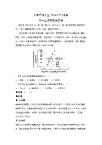 天津市河北区2024-2025学年高一上学期期末地理试卷（解析版）