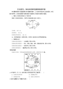 方法技巧：如何判读岩石圈物质循环图-2025年高考地理图形判读突破技巧专题讲练（全国通用）