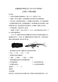 安徽省宿州市砀山县2024-2025学年高一(上)1月期末地理试卷（解析版）