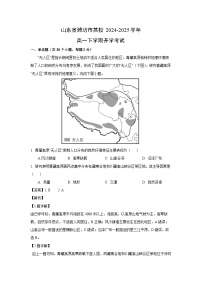 2024~2025学年山东省潍坊市某校高一下学期开学考试地理试卷（解析版）