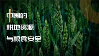 人教版 (2019)选择性必修3 资源、环境与国家安全第三节 中国的耕地资源与粮食安全精品课件ppt