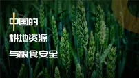 人教版 (2019)选择性必修3 资源、环境与国家安全第三节 中国的耕地资源与粮食安全精品课件ppt