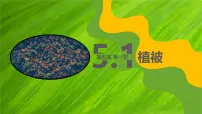 人教版 (2019)必修 第一册植被教课内容课件ppt