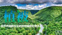 必修 第一册植被授课ppt课件