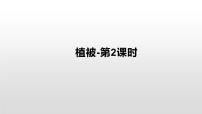 人教版 (2019)必修 第一册植被背景图课件ppt