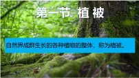 高中地理人教版 (2019)必修 第一册植被评课课件ppt