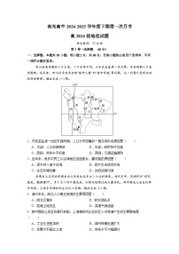 四川省南充市高级中学2024-2025学年高一下学期4月考地理试题（Word版附答案）