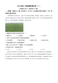 2025届河南省豫西名校高三下学期模（高考模拟）拟考试（一）地理试题（原卷版+解析版）