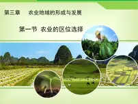 人教版 (新课标)必修2农业的区位选择课堂教学ppt课件
