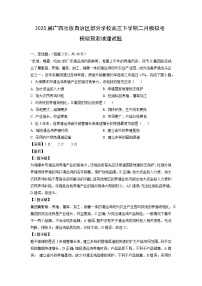 2025届广西壮族自治区部分学校高三下学期二月模拟考模拟预测地理试卷（解析版）