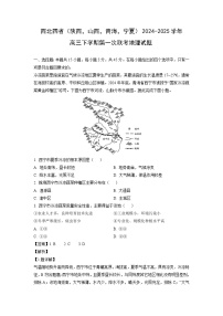 西北四省（陕西，山西，青海，宁夏）2024-2025学年高三下学期第一次联考地理试卷（解析版）