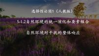 地理选择性必修1 自然地理基础自然环境的整体性完美版课件ppt