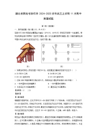 湖北省新高考协作体2024-2025学年高三上学期11月期中地理试题（解析版）