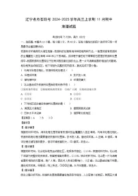 辽宁省点石联考2024-2025学年高三上学期11月期中地理试题（解析版）