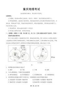 地理丨金太阳重庆市2025届高三下学期5月联考试卷及答案