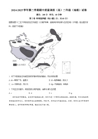 天津市实验中学滨海学校2024-2025学年高二下学期期中考试地理试题（原卷版+解析版）