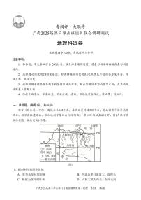 广西壮族自治区2024-2025学年高三上学期11月联合调研地理试题