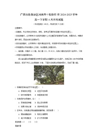 广西壮族自治区河池市十校协作体2024-2025学年高一下学期4月月考地理试卷（解析版）