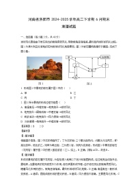 河南省洛阳市2024-2025学年高二下学期6月期末地理试卷（解析版）