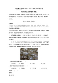 云南省玉溪市2023~2024学年高一下学期期末教学质量检测地理试卷（解析版）