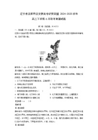 辽宁省沈阳市沈文新高考研究联盟2024-2025学年高二下学期6月联考地理试题（解析版）