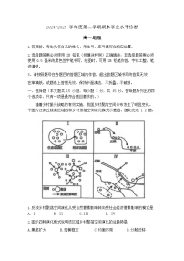 山东省烟台市2024-2025学年高一下学期期末测试地理试卷