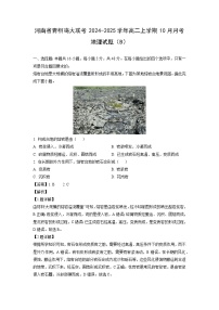河南省青桐鸣大联考2024-2025学年高二上学期10月月考（B）地理试题（解析版）