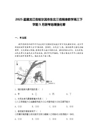 2025届湖北省武汉市第二中学高三下学期模拟考试地理试卷（含答案解析）