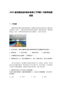 2025届广东省阳江市阳西县高三下模拟预测地理试题（含答案解析）