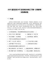 2025届河北省NT名校联合体高三下第一次调研考试地理试题（含答案解析）
