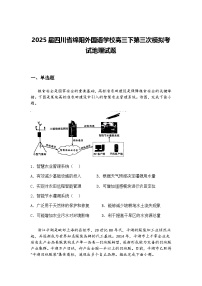 2025届四川省绵阳外国语学校高三下第三次模拟考试地理试题（含答案解析）