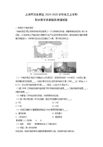 上海市浦东新区2024-2025学年高三上学期期末教学质量检测地理试卷（解析版）
