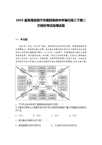 2025届青海省西宁市第四高级中学等校高三下第二次模拟考试地理试题（含答案解析）