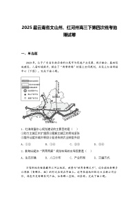 2025届云南省文山州、红河州高三下第四次统考地理试卷（含答案解析）
