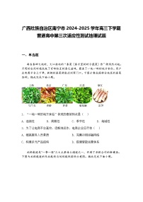 广西壮族自治区南宁市2024-2025学年高三下学期普通高中第三次适应性测试地理试题（含答案解析）