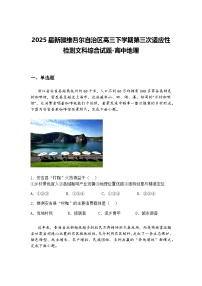 2025届新疆维吾尔自治区高三下学期第三次适应性检测文科综合试题-高中地理（含答案解析）